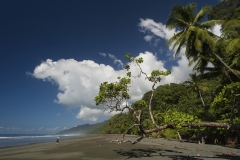 Corcovado National Park, Costa Rica