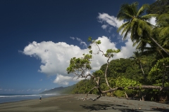 Corcovado National Park, Costa Rica