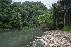 Corcovado National Park, Costa Rica