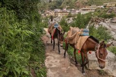 India pre-himalayana