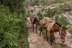 India pre-himalayana