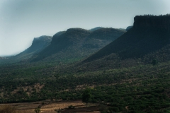 Le montagne del Rathambhore National Park, India