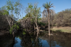 Uno di numerosi stagni presenti all'interno del parco.